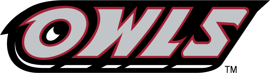 Temple Owls 1996-2014 Wordmark Logo v2 DIY iron on transfer (heat transfer)